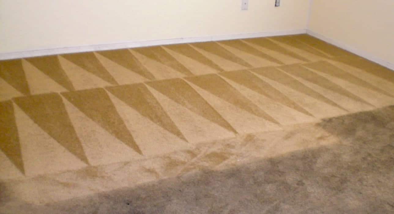 Cleaned carpet Perth