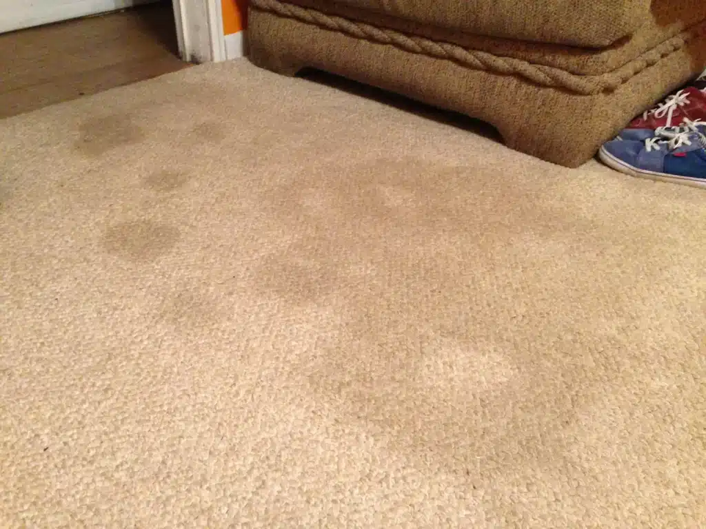 Carpet Stain Removal Perth