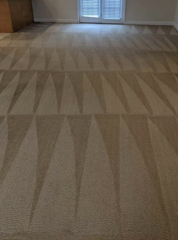 Perth Carpet Cleaning Our Journey to Cleanliness