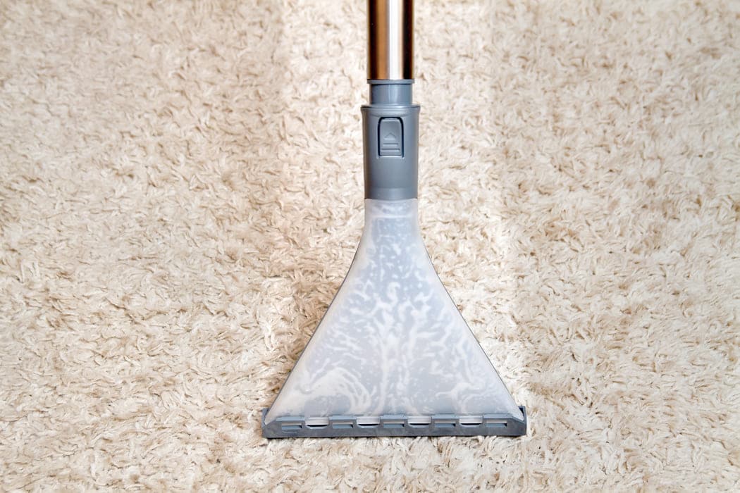 Next Steps WM Carpet Cleaning