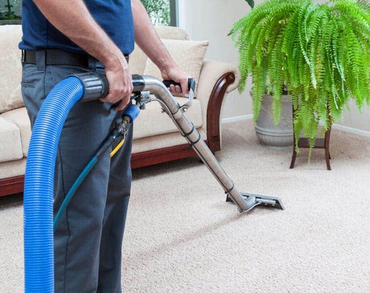 Professional-Carpet-Cleaning-Perth-Your-Carpets-Best-Friend