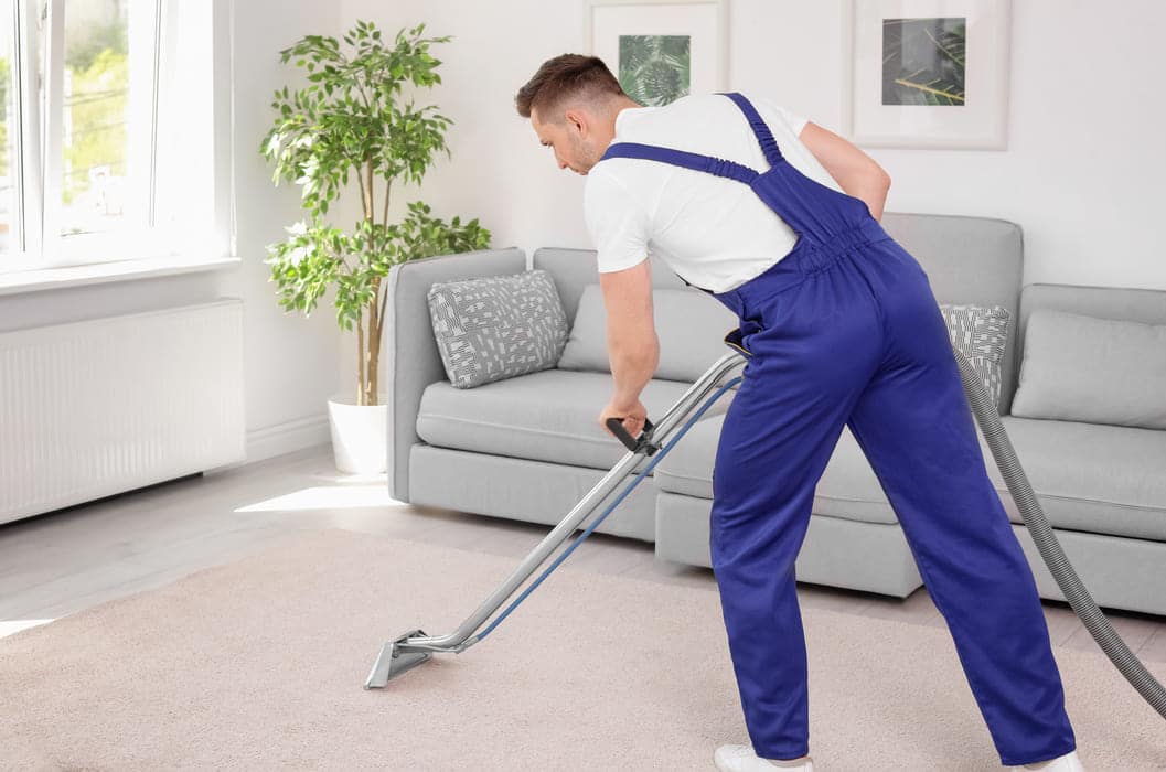 Professional Carpet cleaning Services WM Carpet Cleaning