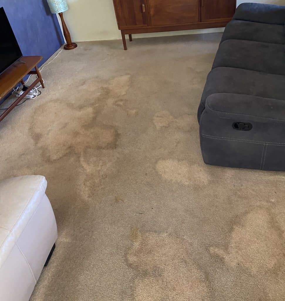 carpet stains