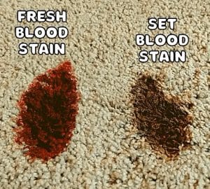How to remove blood stains from carpets