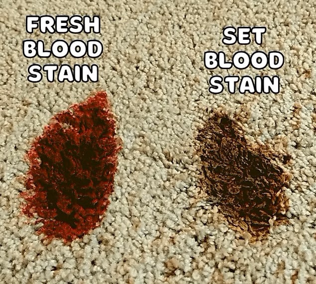 How to remove blood stains from carpets